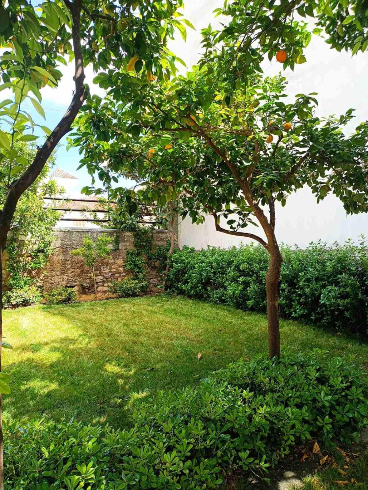 Willa Betty'S Garden House Néa Ankhíalos Zewnętrze zdjęcie