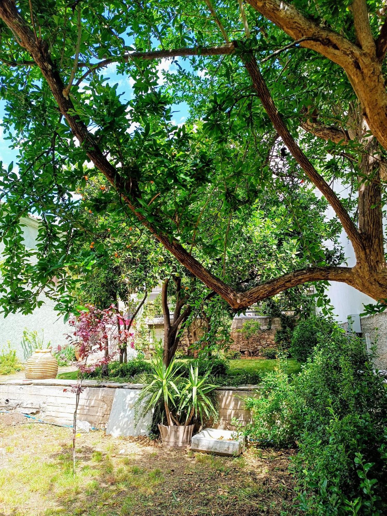 Willa Betty'S Garden House Néa Ankhíalos Pokój zdjęcie